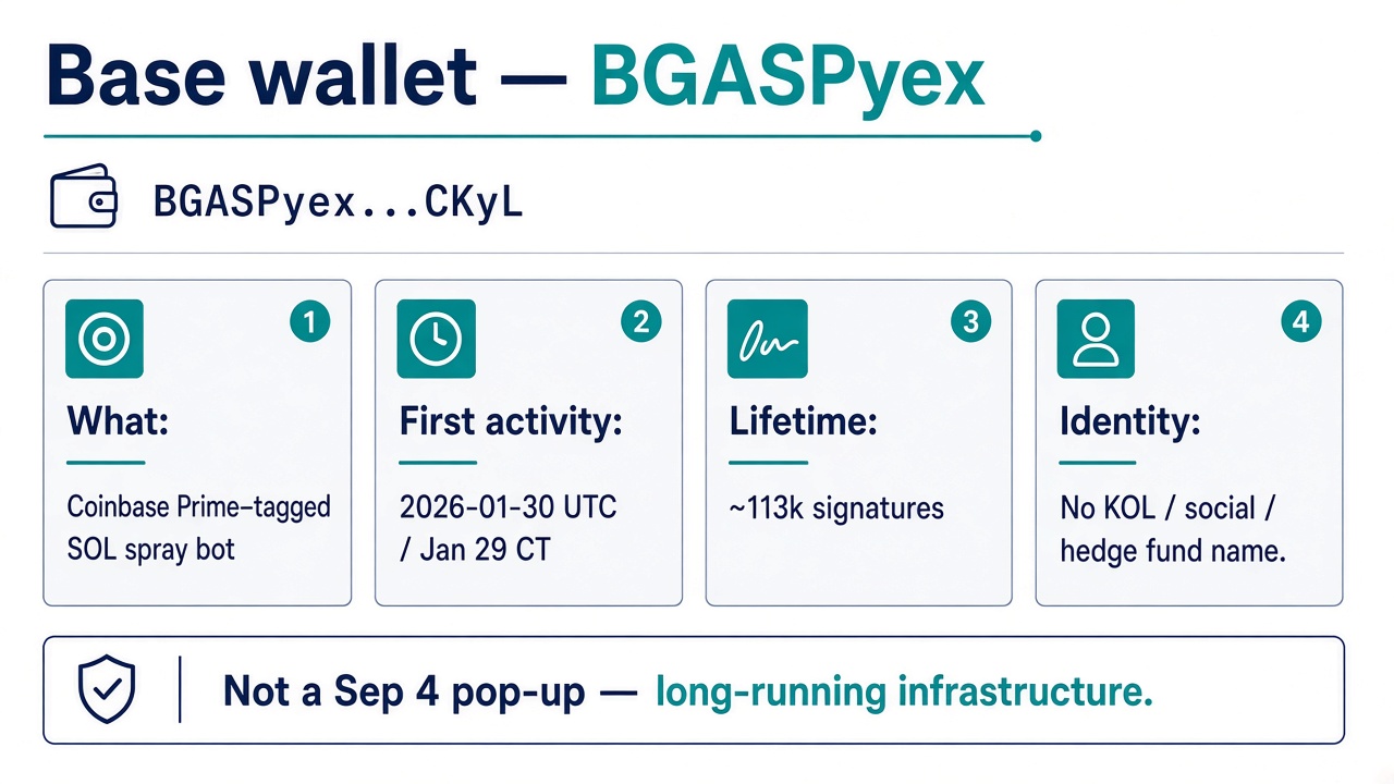Base wallet BGASPyex summary